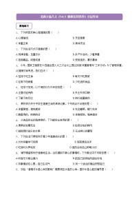 北师大版(2024)八年级上册(2024)健康及其条件精品课时作业