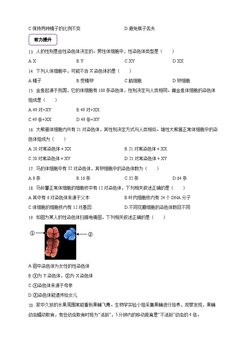 6.16.4 性别和性别决定-分层作业(含答案)--北师大版生物八年级上册第2页