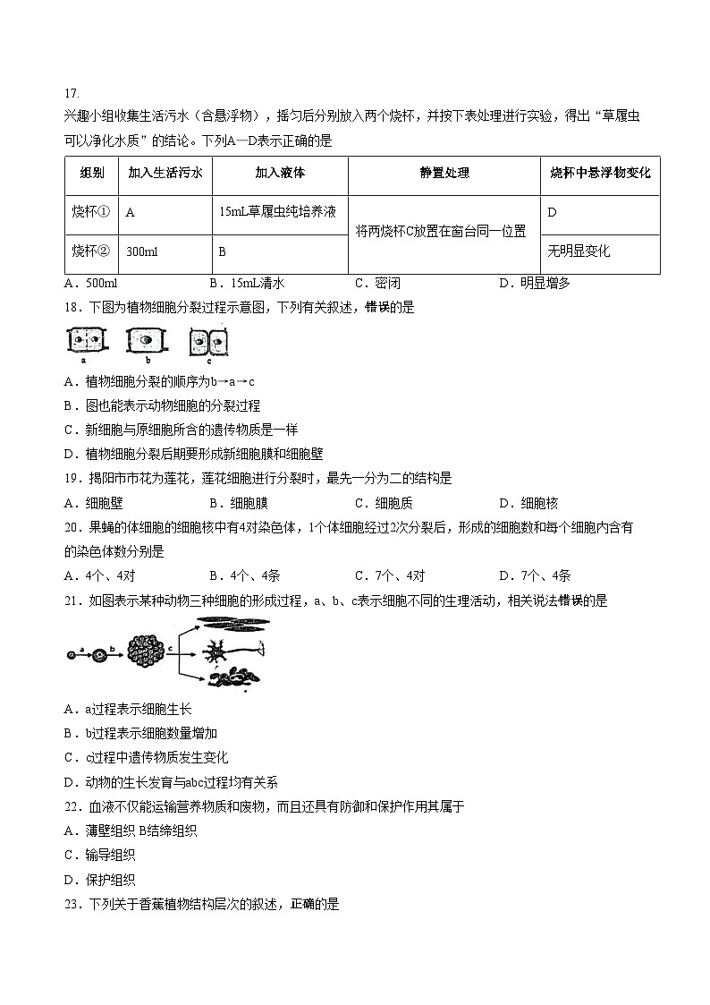 广东省揭阳市揭东区2025_2026学年七年级上学期期中生物学试题(文字版含答案)第3页
