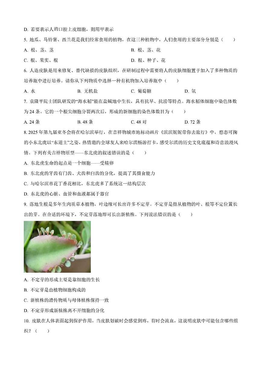2025-2026学年黑龙江省齐齐哈尔市龙江县七年级上学期期末生物试题(有答案)第2页