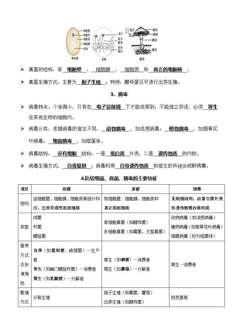 北师大版(2024)版八年级上册生物期末复习考点知识清单 讲义第2页