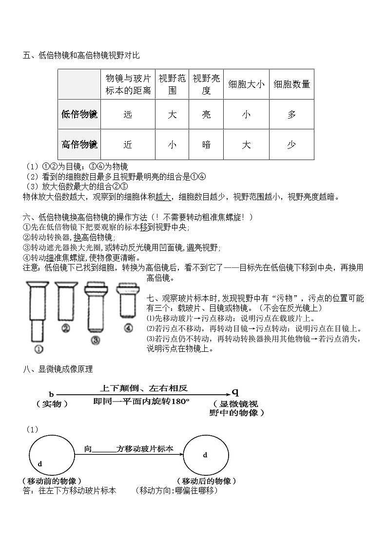 苏科版(2025)七年级上册生物期末复习知识点考点提纲 讲义第2页