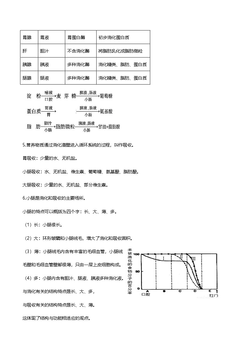 济南版(2025)八年级上册生物期末复习知识点考点提纲 讲义第3页