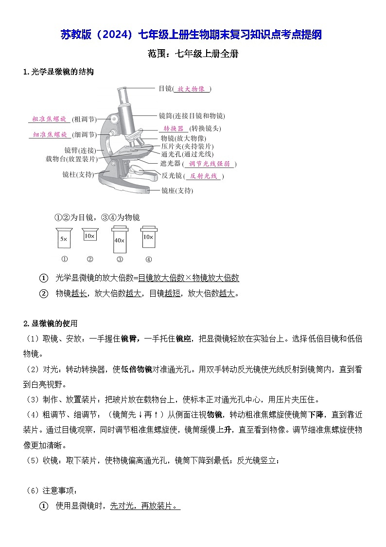 苏教版(2024)七年级上册生物期末复习知识点考点提纲 讲义第1页