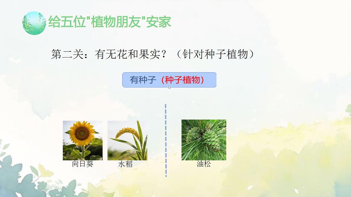17839767第6页
