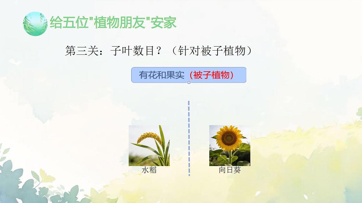 17839767第7页