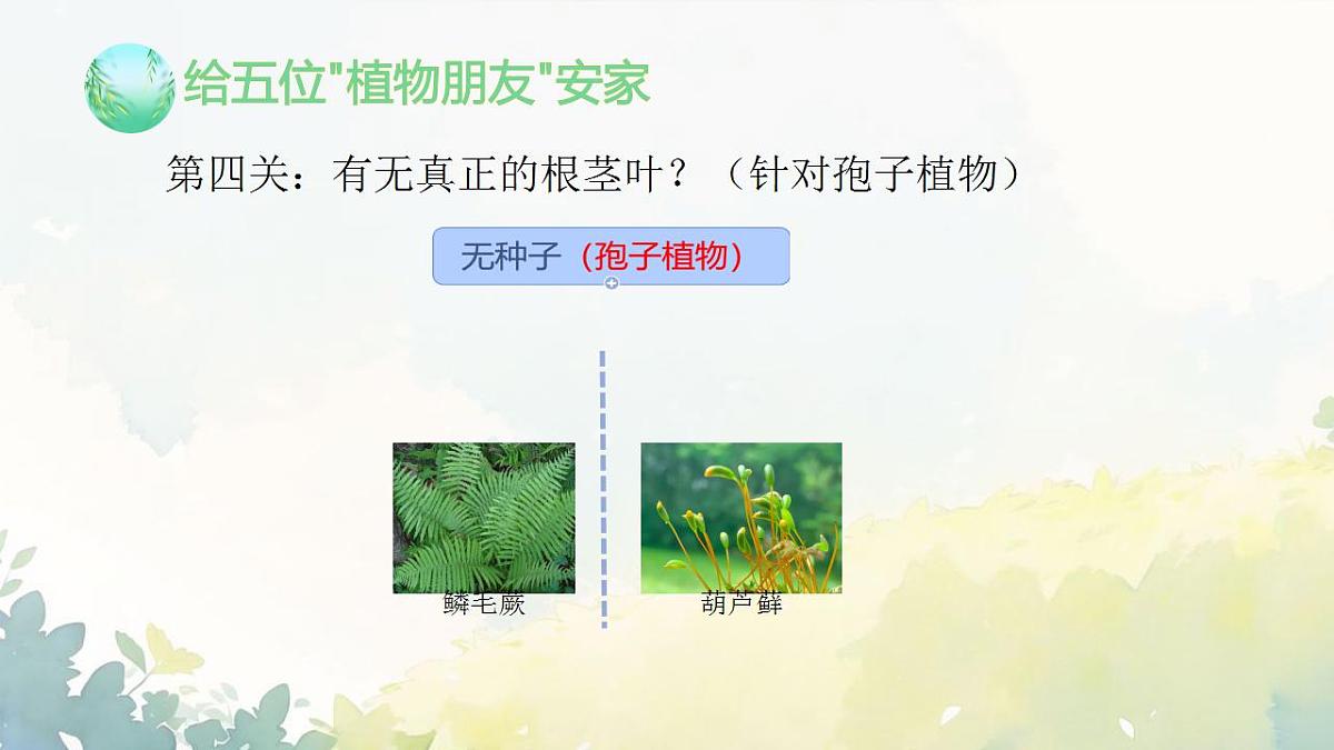17839767第8页