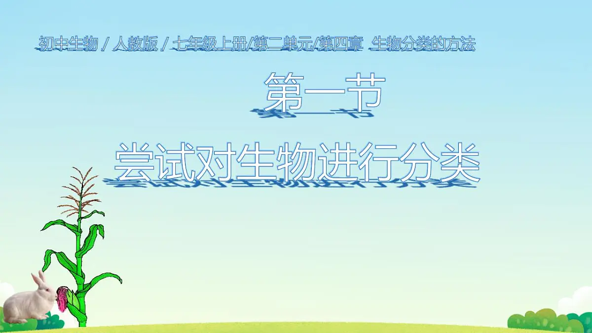 17839769第3页