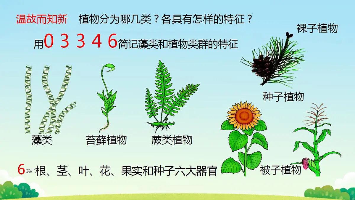 17839769第6页