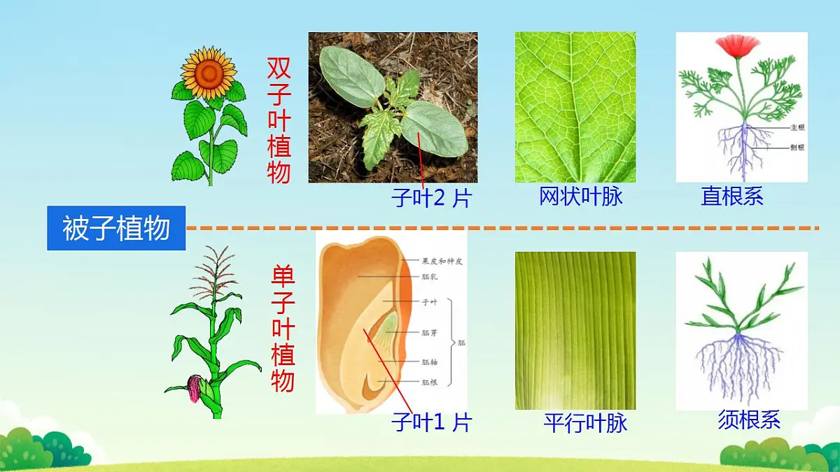 17839769第7页