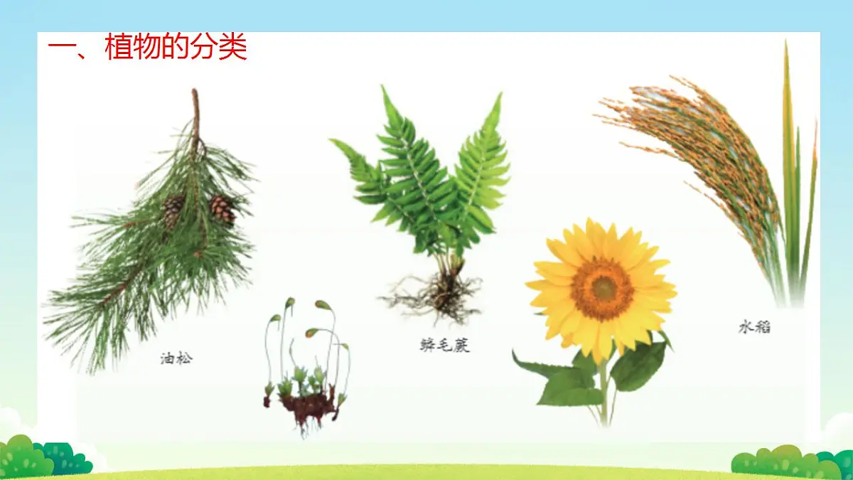 17839769第8页