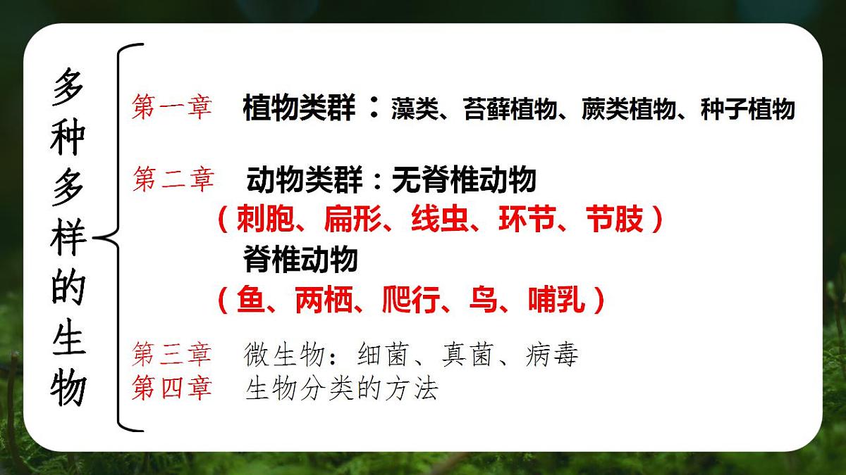 17839770第1页