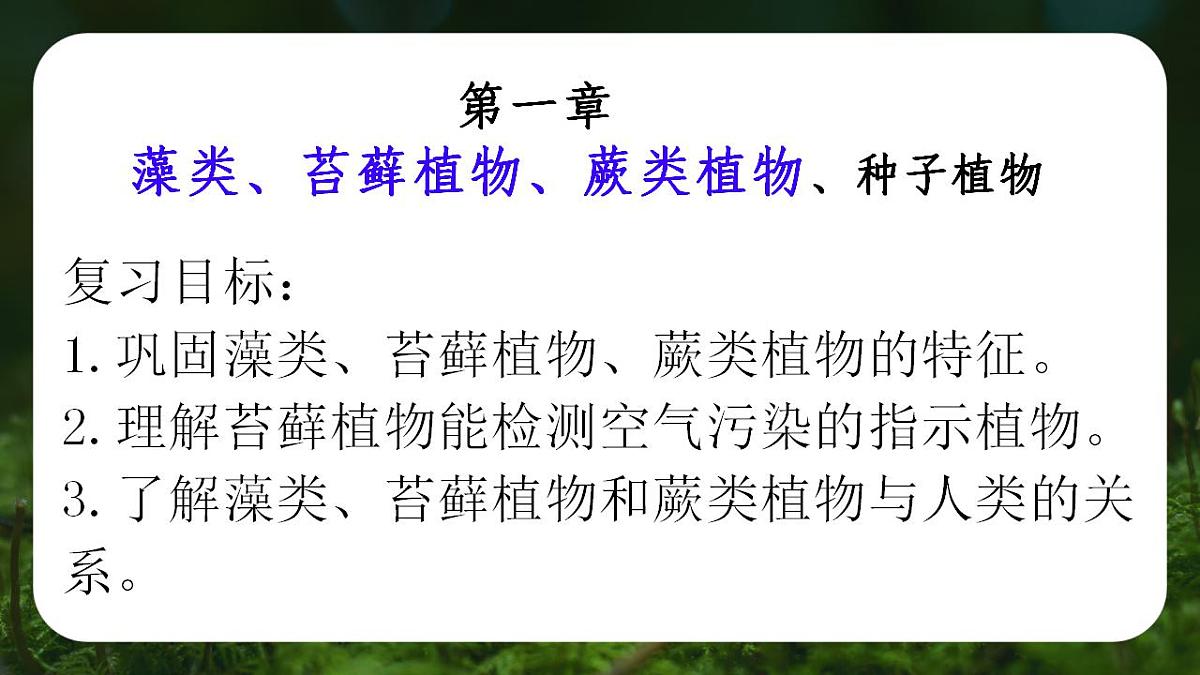 17839770第2页