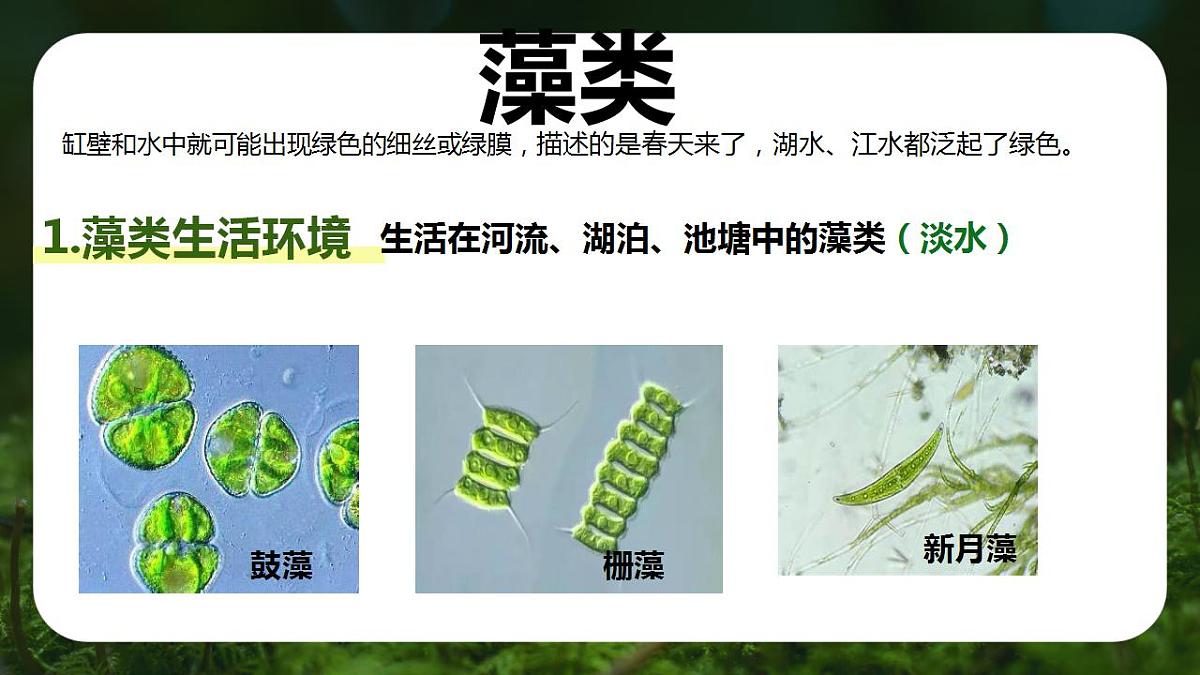 17839770第3页