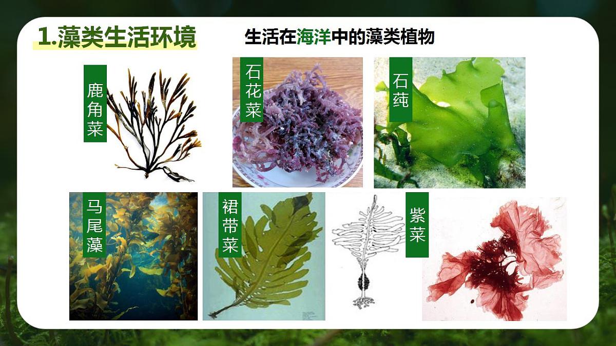 17839770第4页