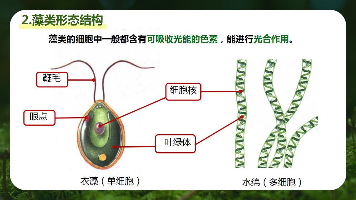 17839770第5页