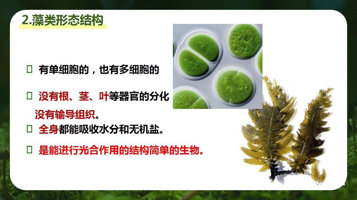 17839770第6页
