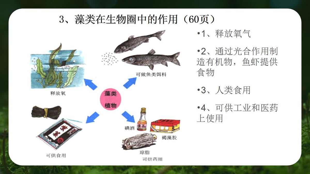 17839770第7页