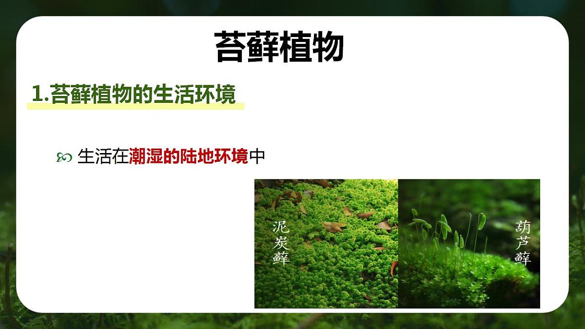 17839770第8页