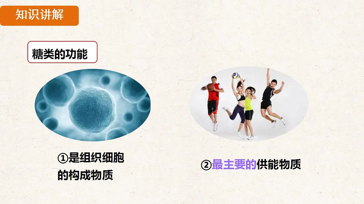 17839848第7页