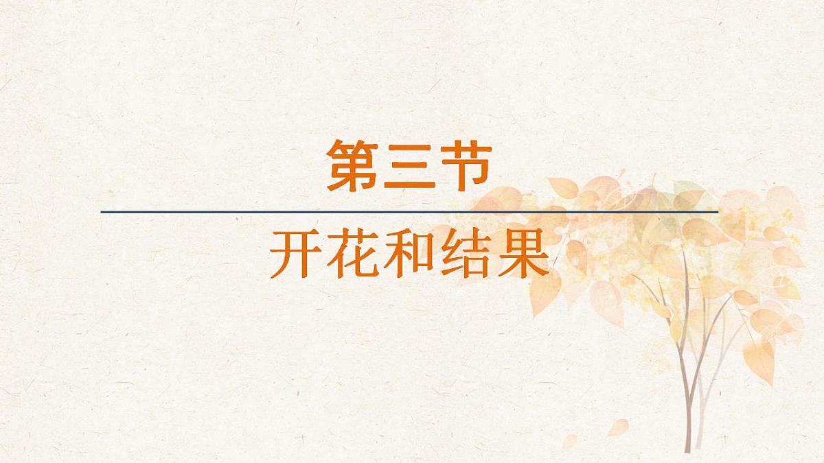 17839851第1页