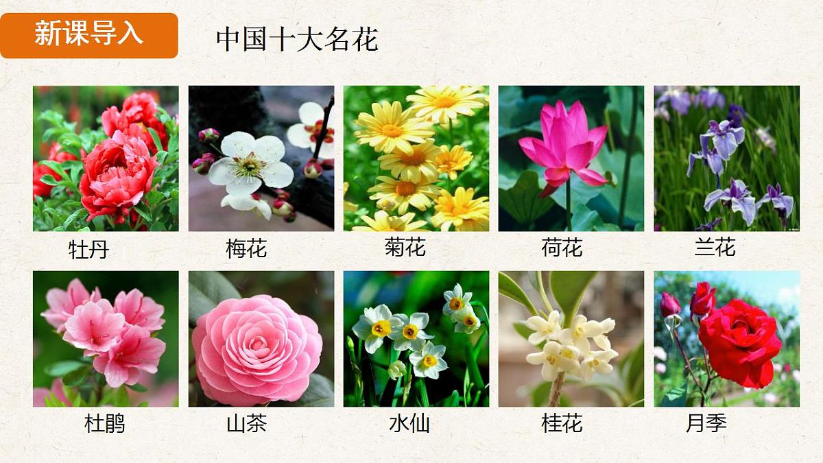 17839851第3页