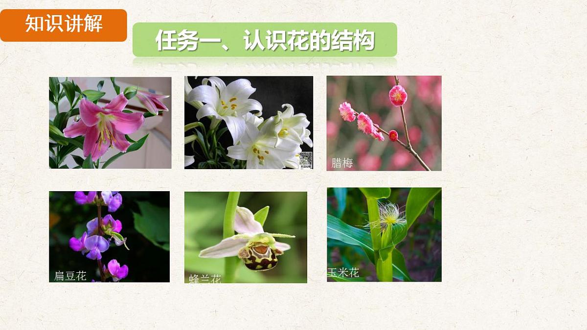 17839851第4页