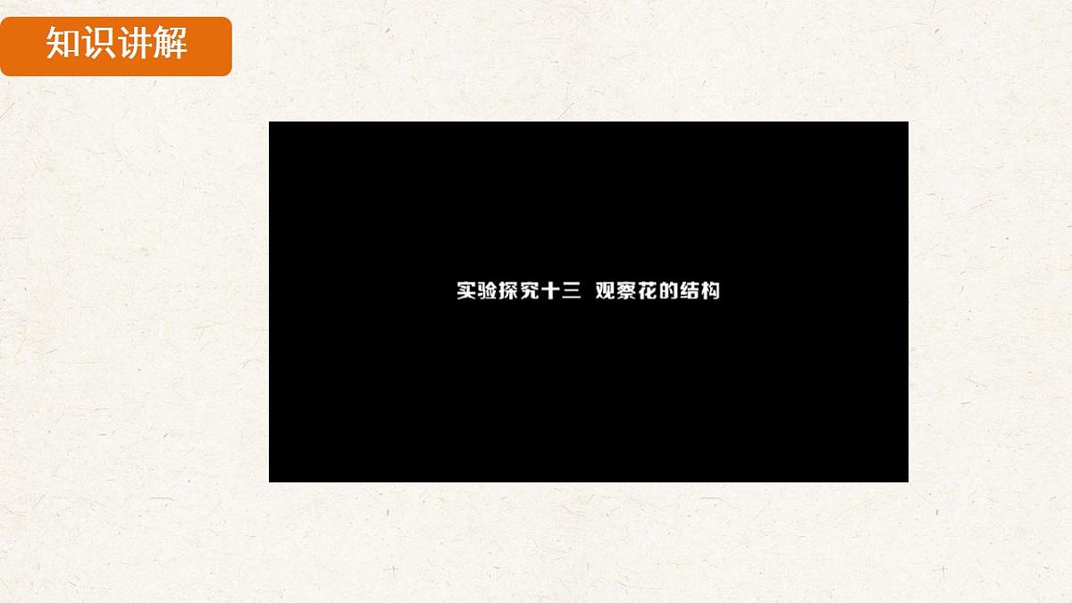 17839851第5页