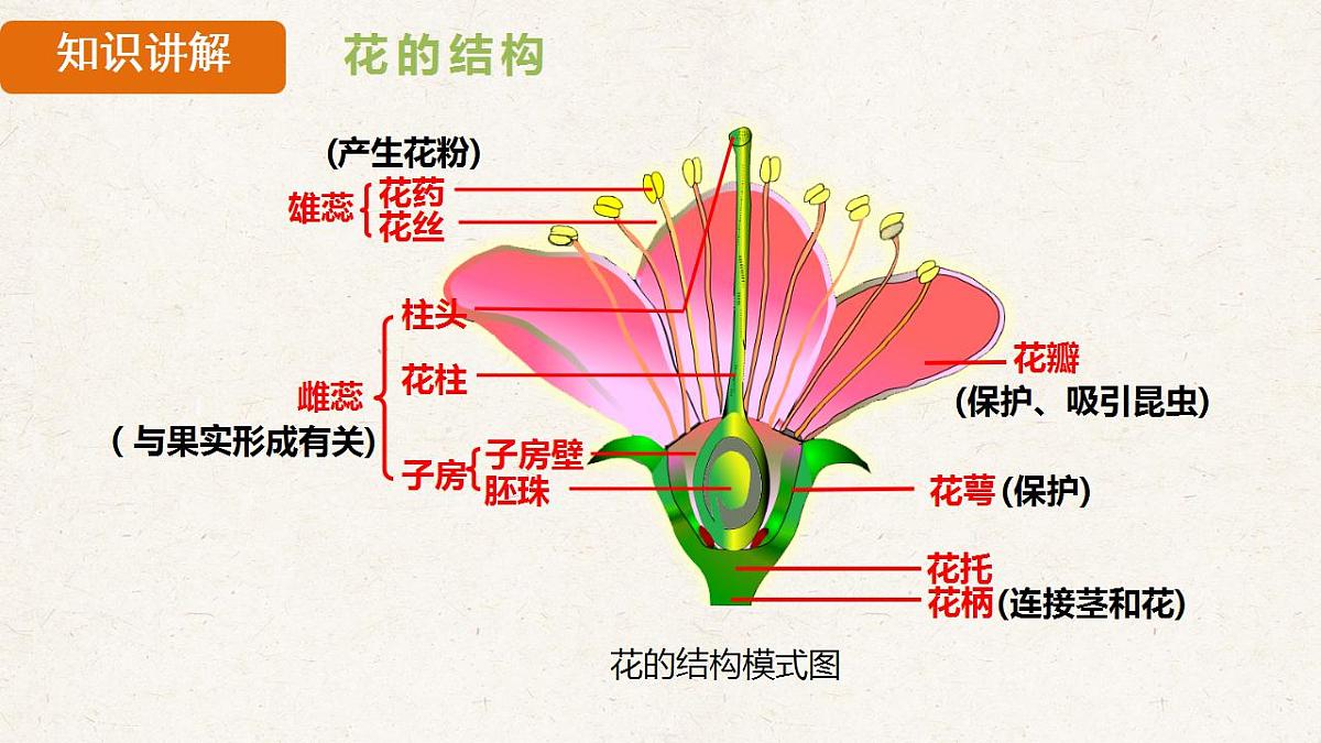 17839851第7页