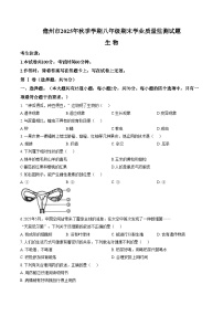 海南省儋州市2025_2026学年八年级上学期期末考试生物试题（文字版，含答案）
