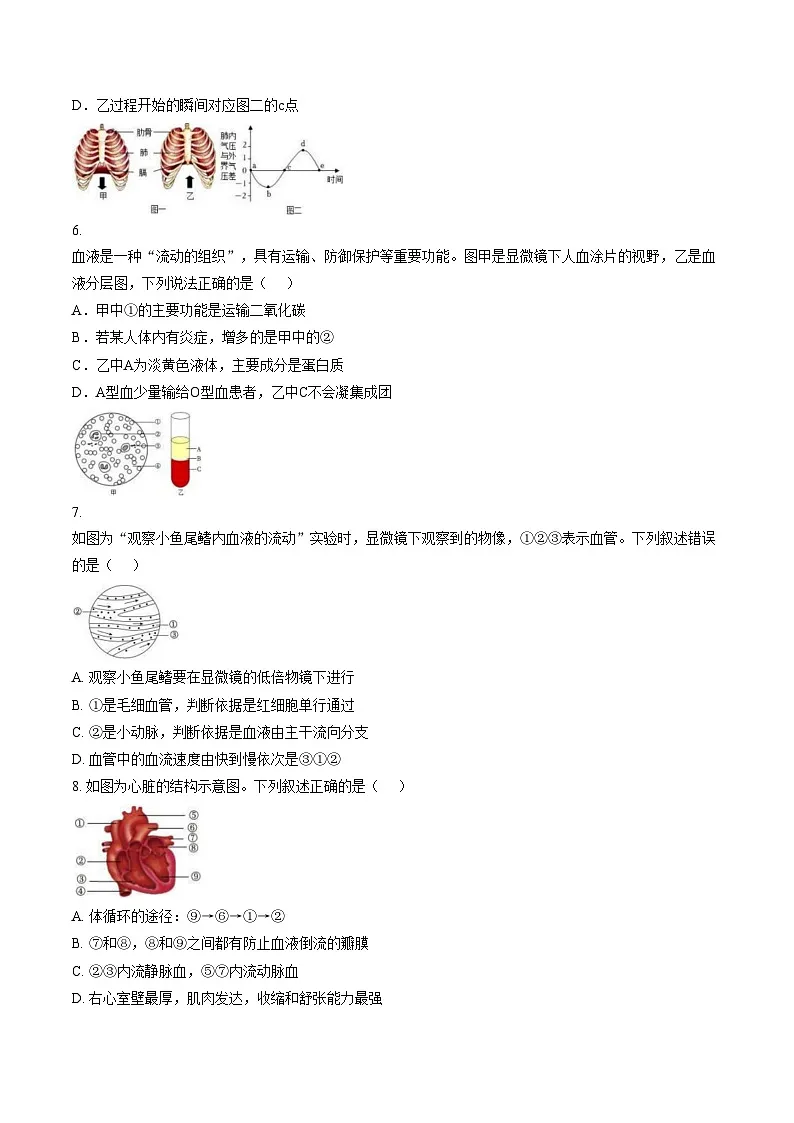 山东省滨州市滨城区北镇中学实验初中部2025_2026学年八年级上学期第二次月考生物试题(文字版,含答案)第2页