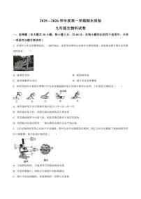 2025-2026学年广东省揭阳市榕城区九年级上学期1月期末生物试题（含答案）