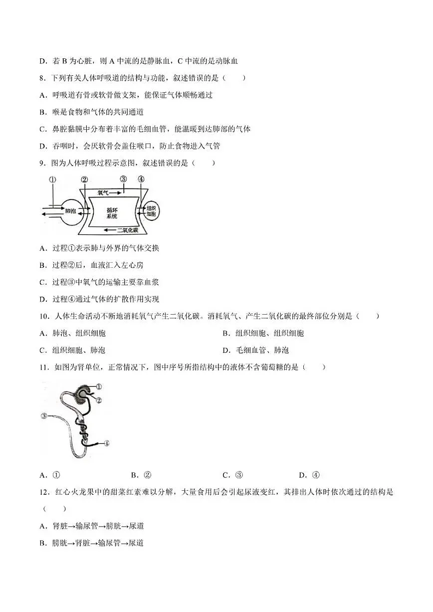 2025-2026学年广东省揭阳市榕城区九年级上学期1月期末生物试题(含答案)第3页