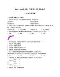 山东省德州市齐河县三校联考2025_2026学年七年级上学期第二次阶段性总结生物试题(文字版含答案)