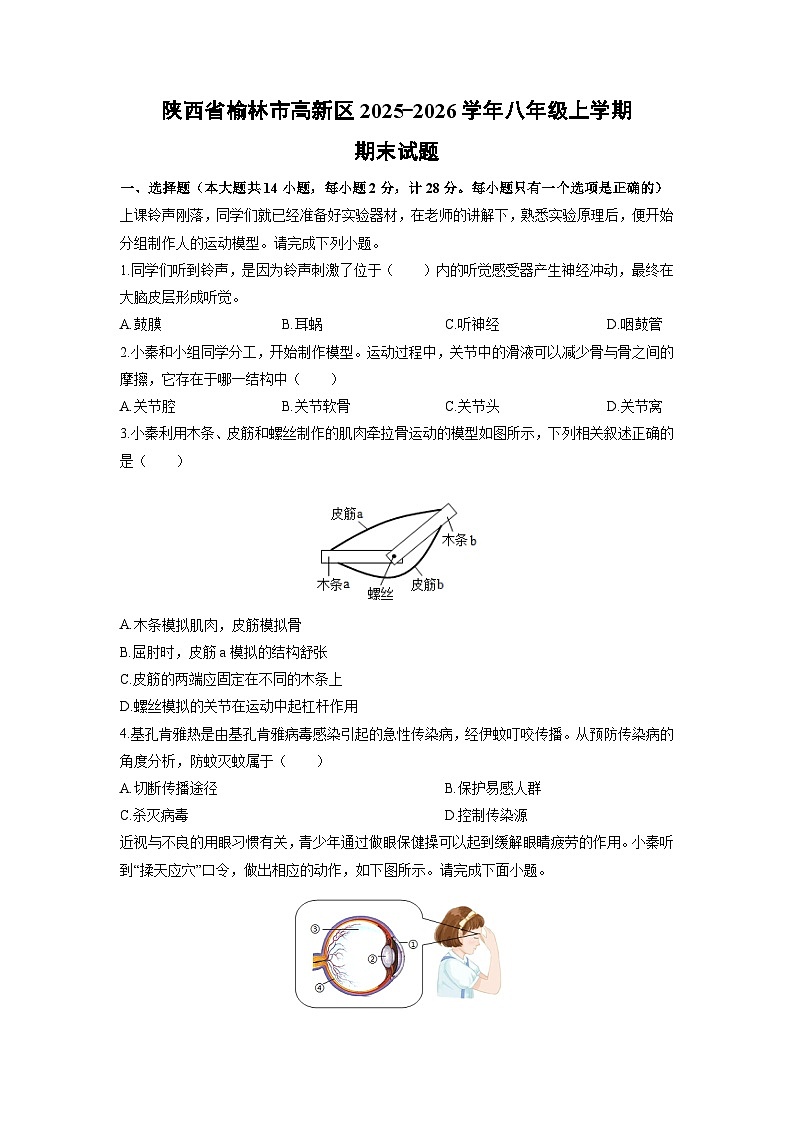 2025-2026学年陕西省榆林市高新区八年级上学期期末生物试卷(学生版)第1页