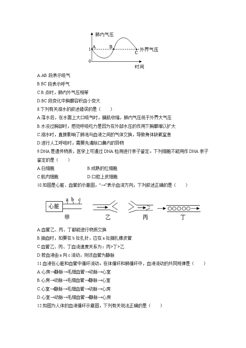 2025-2026学年山东省枣庄市市中区八年级上学期期中生物试卷(学生版)第2页