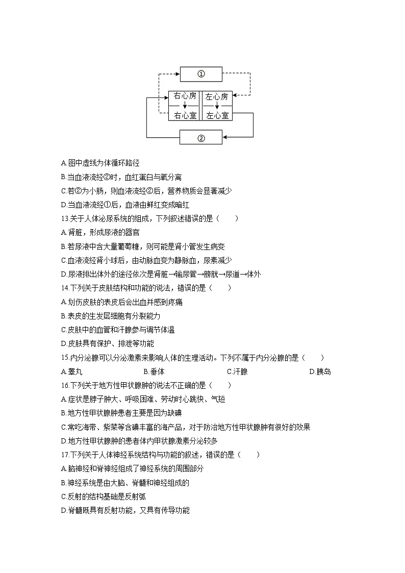 2025-2026学年山东省枣庄市市中区八年级上学期期中生物试卷(学生版)第3页
