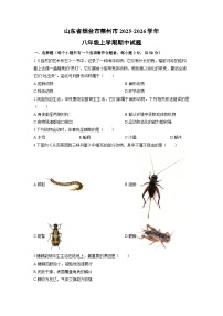 2025-2026学年山东省烟台市莱州市八年级上学期期中生物试卷（学生版）