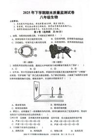 湖南省邵阳市邵东市2025-2026学年八年级上学期1月期末生物试题