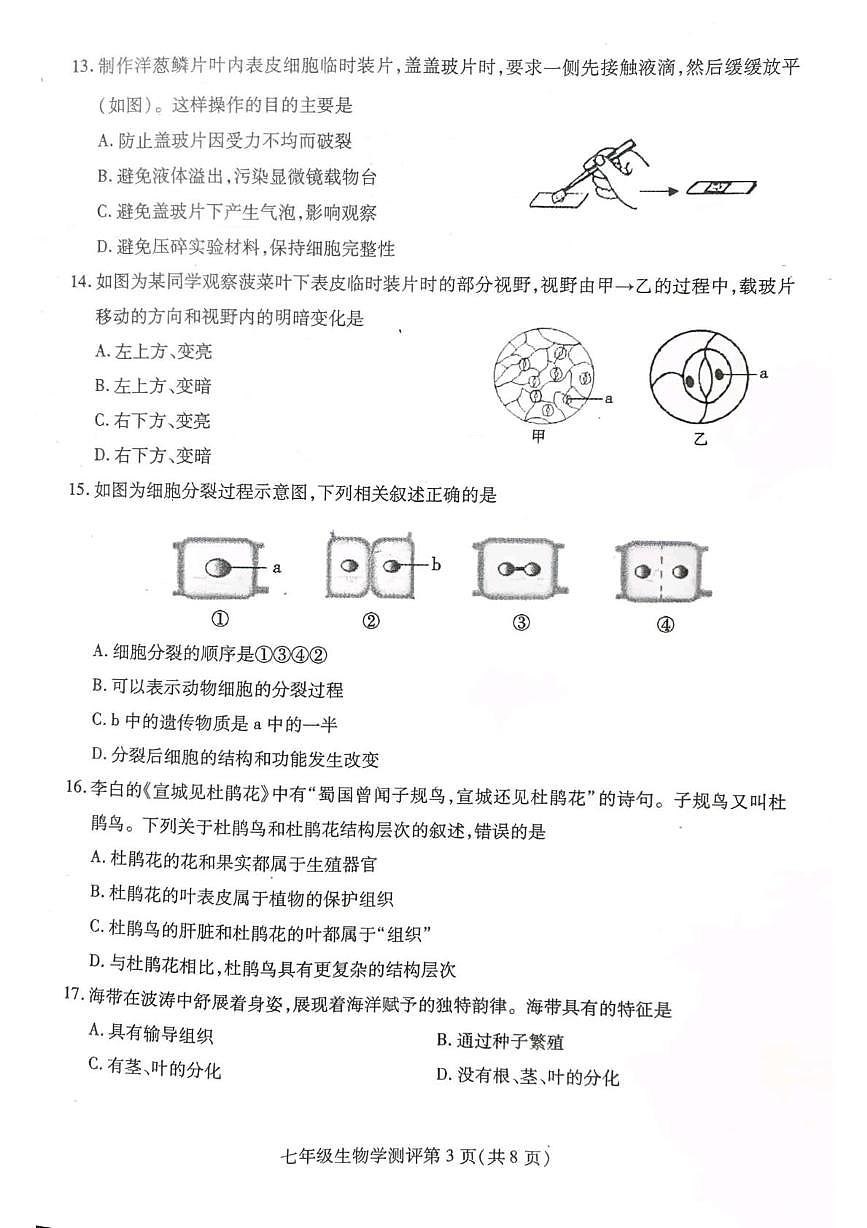 四川省内江市威远县2025-2026学年七年级上学期1月期末生物试题第3页