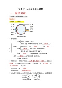 专题07 人体生命活动调节--2026年中考生物复习学案（全国适用）