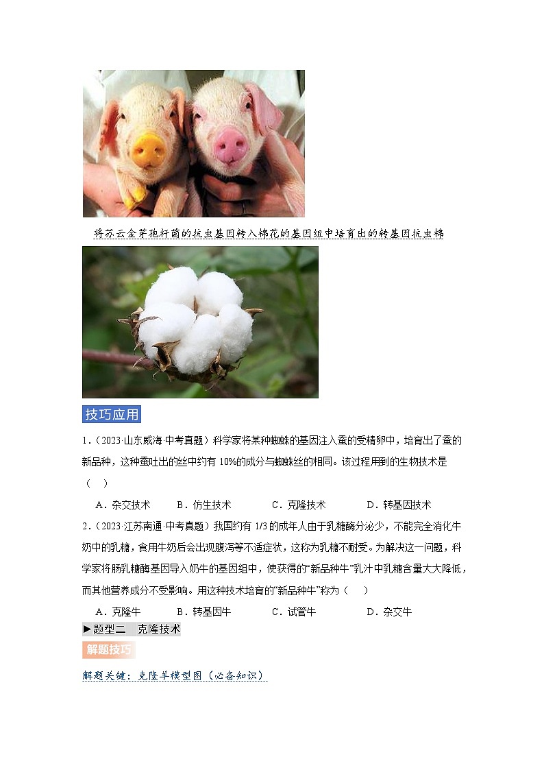 专题11 生物技术(学生版)第2页