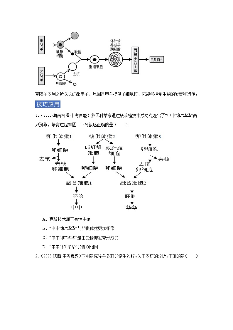 专题11 生物技术(学生版)第3页