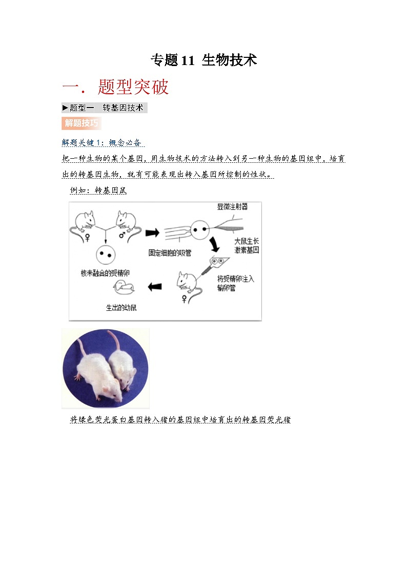 专题11 生物技术(教师版)第1页
