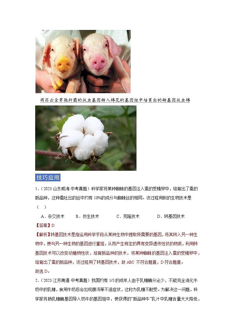 专题11 生物技术(教师版)第2页