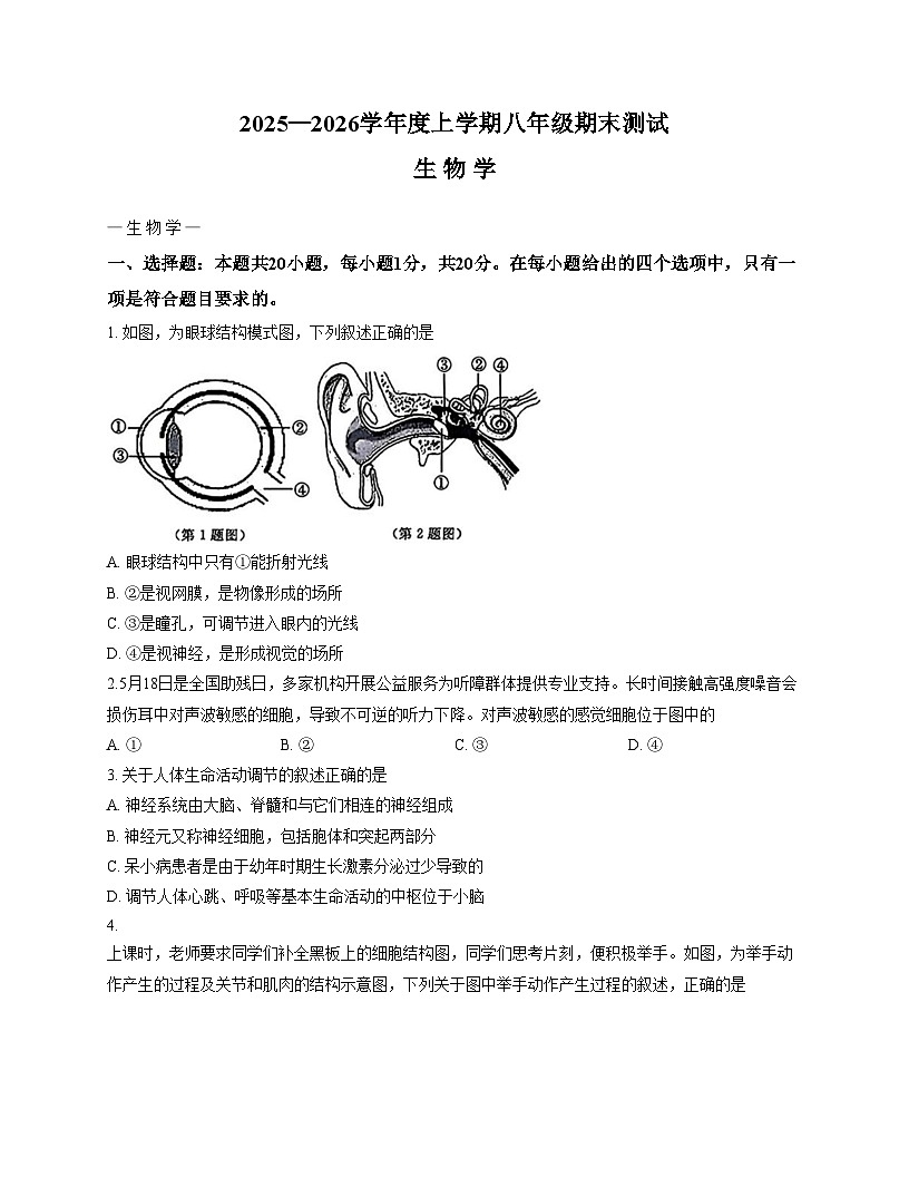 吉林省长春市绿园区2025_2026学年八年级上学期1月期末生物试题(文字版,含答案)第1页