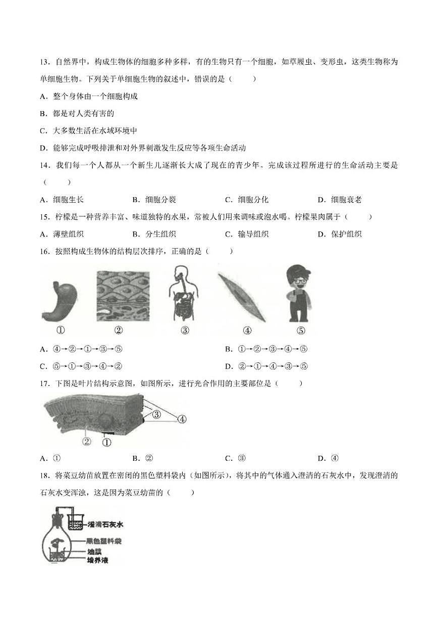2025-2026学年云南省玉溪市七年级上学期期末生物试题(含答案)第3页