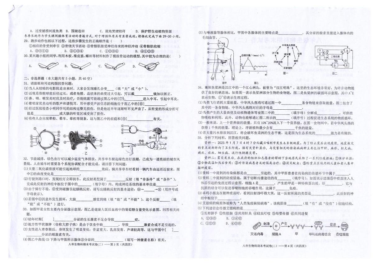 2025-2026学年广东省汕头市潮南区陈店镇公办学校八年级上学期1月期末生物试题(含答案)第2页