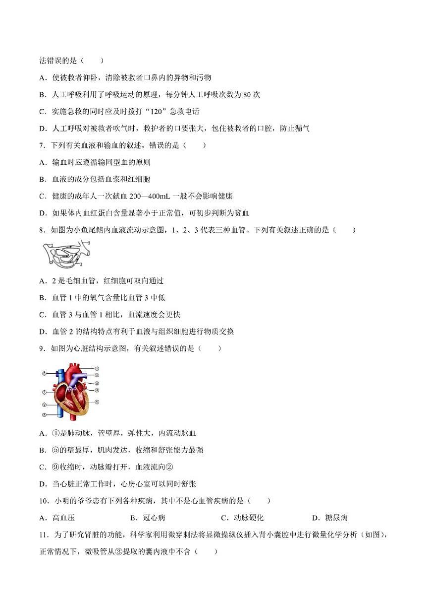 2025-2026学年四川省广安市邻水县八年级上学期1月期末生物试题(含答案)第2页