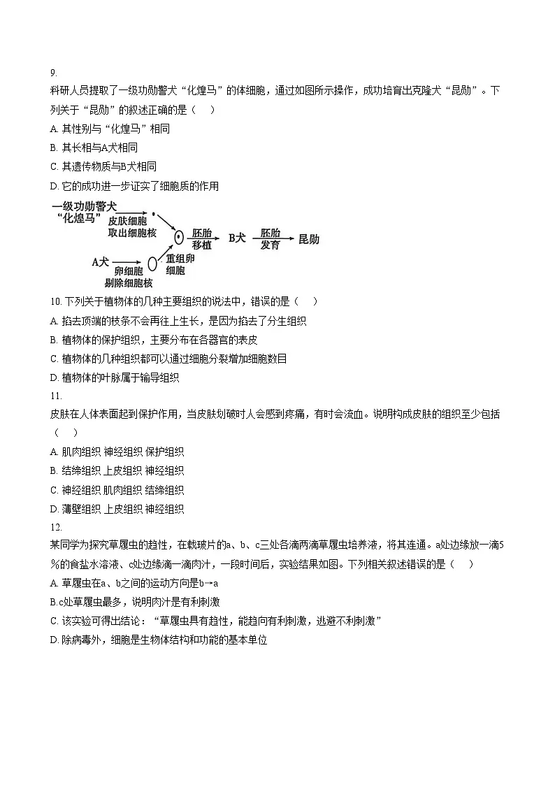 四川省南充市嘉陵区2025_2026学年七年级上学期生物期末试题(文字版,含答案)第3页